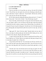 skkn SKKN những cách xác lập ý cho bài văn biểu cảm về sự vật, con người