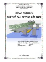 đồ án môn học thiết kế cầu bê tông cốt thép