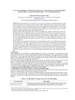 CÁC NHÂN tố ẢNH HƯỞNG đến NĂNG lực CẠNH TRANH của DNVVN