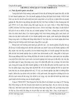 ĐỀ TÀI: Phân tích TOWS chiến lược cạnh tranh sản phẩm thép của công ty TNHH MTV Thái Hưng Hà Nội