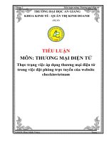 tiểu luận thương mại điện tử Thực trạng việc áp dụng thương mại điện tử trong việc đặt phòng trực tuyến của website checkinvietnam