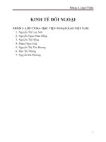 CHIẾN LƯỢC PHÁT TRIỂN KINH TẾ ĐỐI NGOẠI: QUAN ĐIỂM PHÁT TRIỂN, NHỮNG THUẬN LỢI VÀ KHÓ KHĂN ĐỐI VỚI VIỆT NAM