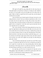 skkn tìm hiểu một số nét đặc trưng ngôn ngữ tạo hình ở học sinh THCS thông qua