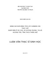 đánh giá khả năng tích lũy carbon của thực vật ngập mặn ở rú chá, xã hương phong, thị xã hương trà, tỉnh thừa thiên huế