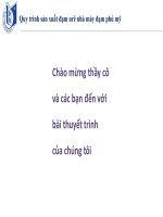 thuyết trình phân bón ure