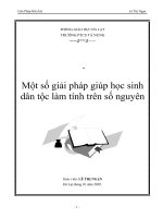 SKKN một số GIẢI PHÁP GIÚP học SINH dân tộc làm TÍNH TRÊN số NGUYÊN