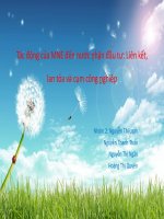 Tác động của MNE đến nước nhận đầu tư: Liên kết, lan tỏa và cụm công nghiệp