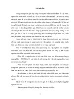 ĐỀ TÀI: Một số giải pháp để hoàn thiện chiến lược sản phẩm và kiến nghị