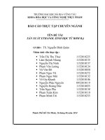 BÁO CÁO THỰC TẬP CHUYÊN NGÀNH:SẢN XUẤT ETHANOL SINH HỌC TỪ RƠM RẠ