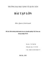 Môi trường kinh doanh của các doanh nghiệp Việt Nam sau gia nhập WTO