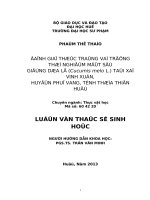 đánh giá thực trạng và trồng thử nghiệm một số giống dưa lê (cucumis melo l.) tại xã vinh xuân, huyện phú vang, tỉnh thừa thiên huế