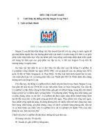 Chiến lược kinh doanh của CO.OP Mart