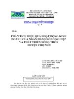 ĐỀ TÀI: Phân tích hiệu quả hoạt động kinh doanh của ngân hàng nông nghiệp và phát triển nông thôn  huyện Chợ Mới