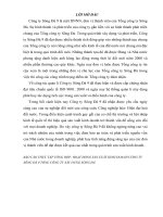 ĐỀ TÀI: Hoạt động sản xuất kinh doanh công ty sông Đà 9 tổng công ty xây dựng sông Đà