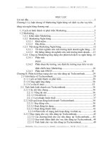 ứng dụng kỹ thuật marketing phân tích dịch vụ cho vay tiêu dùng của techcombank