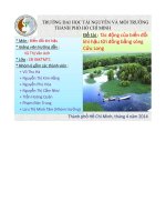 tiểu luận tác động của biến đổi khí hậu tới đồng bằng sông cửu long - luận văn, đồ án, đề tài tốt nghiệp