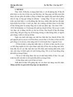 ĐỀ TÀI: Màng nội bào và quá trình tổng hợp các đại phân tử