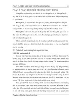 ĐỀ TÀI: Phân tích môi trường hoạt động tại công ty Hoàng Anh Gia Lai