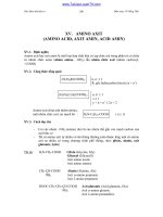 chuyên đề lý thuyết amino axit