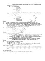 đề cương ôn tập thi học kì, môn tin học lớp 10