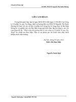 ĐỀ TÀI: Phát triển thị trường bán lẻ của công ty cổ phần ắc quy tia sáng