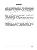 ĐỀ TÀI: Lập kế hoạch thâm nhập thị trường trong nước cho điện thoại di động AVIO Hà Nội