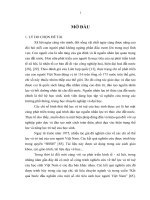 ĐỀ TÀI: Nghiên cứu một số chỉ số thể lực, trí tuệ của học sinh tiểu học và trung học cơ sở xã Minh Đạo, huyện Tiên Du, tỉnh Bắc Ninh