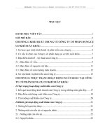 Thực trạng hoạt động xuất khẩu và những giải pháp nhằm nâng caoxuất khẩu ở Công ty Cổ phần dụng cụ cơ khí xuất khẩu