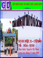 thuyết trình sinh học - hô hấp ở thực vật