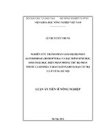 tiến sỹ nghiên cứu thành phần loài bọ phấn aleyrodidae (homoptera) và đặc điểm sinh học, sinh thái học, biện pháp phòng trừ bọ phấn thuốc lá bemisia tabaci (gennadius) hại cây họ cà ở vùng hà nôi