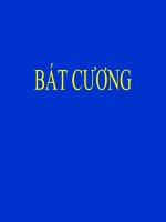 Bài giảng về bát cương