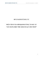 đồ án kinh tế đầu tư phân tích tài chính,kinh tế dự án đầu tư xây dựng biệt thự khách sạn cho thuê