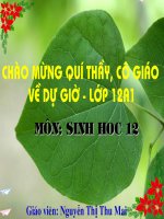 thuyết trinh sinh hoc -dòng năng lượng trong hệ sinh thái và hiệu suất sinh thái
