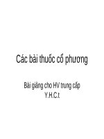 Các bài thuốc cổ phương