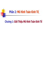 Báo cáo Mô hình toán kinh tế