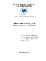 TIỂU LUẬN MÔN QUẢN TRỊ TÀI CHÍNH PHÂN TÍCH BÁO CÁO TÀI CHÍNH CÔNG TY CỔ PHẦN LICOGI 16.6
