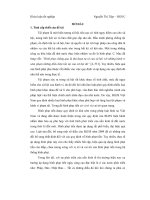 Khóa luận hình phạt tiền trong bộ luật hình sự Việt Nam những vấn đề lí luận và thực tiễn