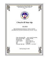 quan hệ thương mại và một số giải pháp thúc đẩy quan hệ thương mại việt nam – hoa kỳ