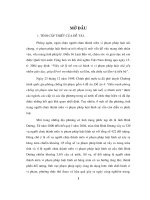 Tình trạng người chưa thành niên vi phạm pháp luật hình sự trên địa bàn tỉnh Bình Dương giải pháp phòng ngừa ngăn chặn