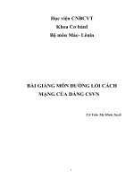 BÀI GIẢNG môn ĐƯỜNG lối CÁCH MẠNG của ĐẢNG CSVN