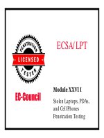 LPTv4  module 27 stolen laptop, PDAs and cell phones penetration testing