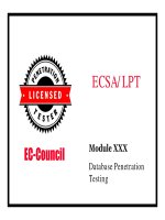 LPTv4  module 30 database penetration testing