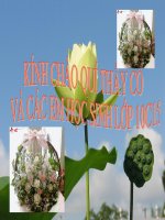 thuyết trình sinh học -sự nhân lên của virut ở trong tế bào chủ