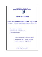 đồ án tốn nghiệp nhiệt phân rác thài ni lông bằng xức tác trong điều kiện không có oxygen