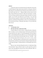 Các quy định của pháp luật Việt Nam về bảo hộ nhãn hiệu nổi tiếng