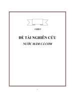 đề tài nước mắm cá cơm - luận văn, đồ án, đề tài tốt nghiệp