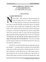 skkn duy trì số lượng và nâng cao tỉ lệ chuyên cần của học sinh vùng cao