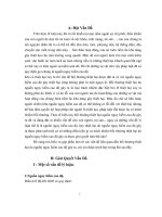 Các vấn đề liên quan đến bồi thường thiệt hại do nguồn nguy hiểm cao độ gây ra