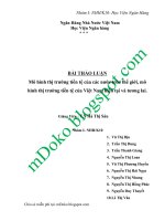 Mô hình thị trường tiền tệ của các nước trên thế giới, mô hình thị trường tiền tệ của Việt Nam hiện tại và tương lai