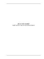 đồ án tốt nghiệp thiết kế kỹ thuất pai-dầm super t